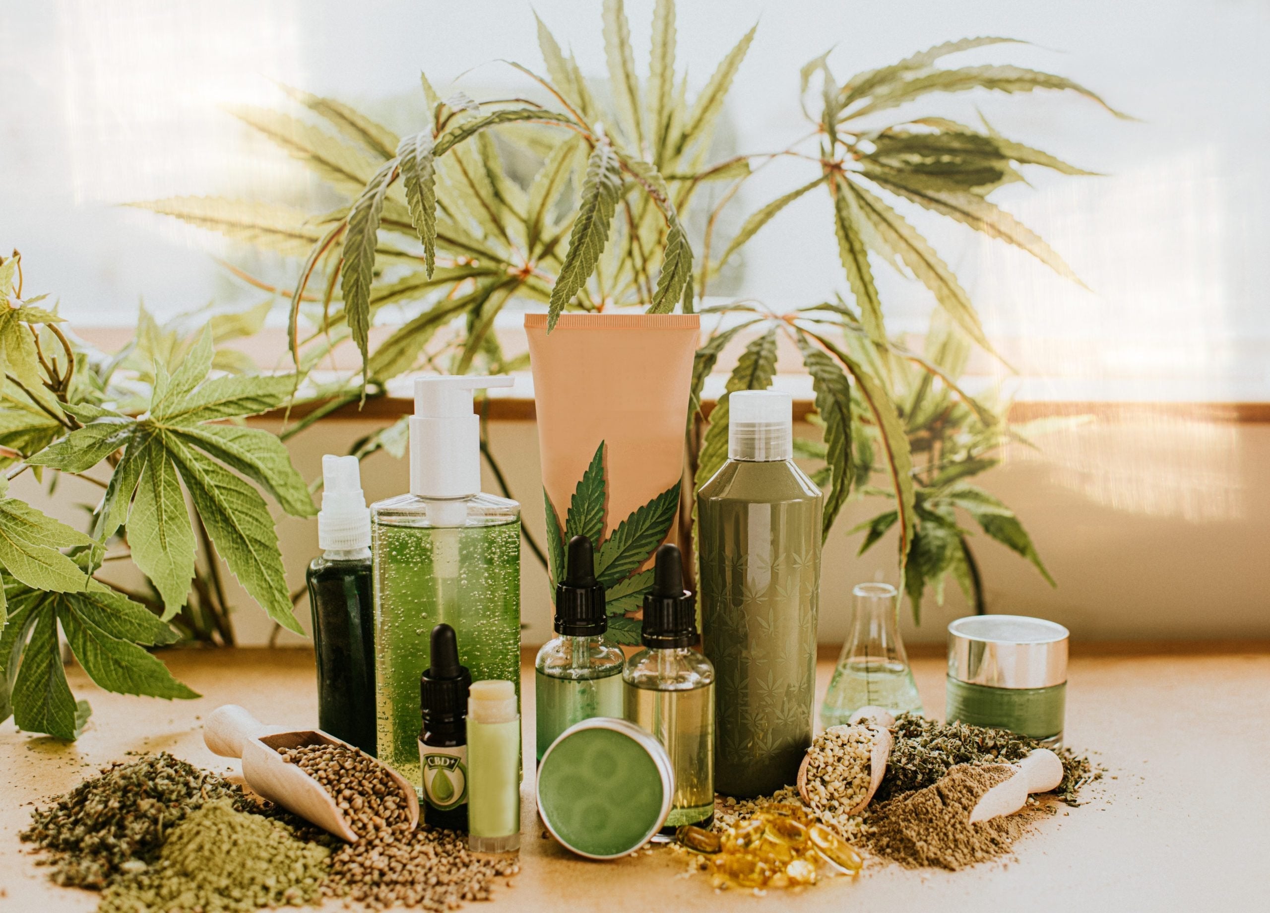Unlocking the Power of CBD in Cannabis-Infused Water